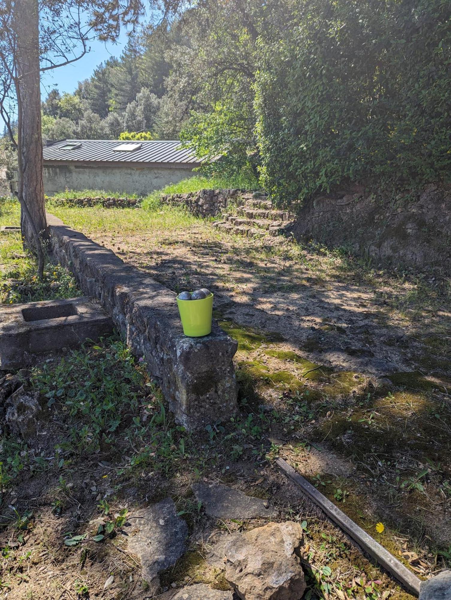 Auberge Des Pins Aubenas Exteriér fotografie